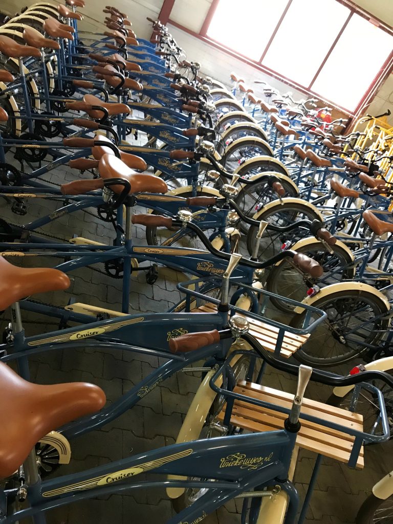 tendem cruiser huren_laren_uitjes met wielen